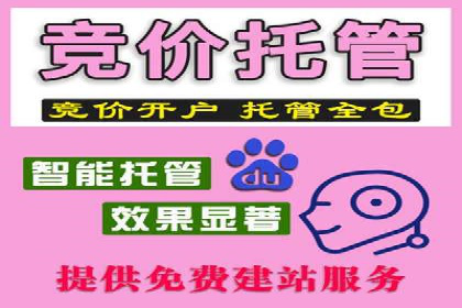 百度SEO推广：从零到一的成长案例